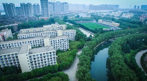 洛阳理工学院教务在线(洛阳理工学校教务在线)
