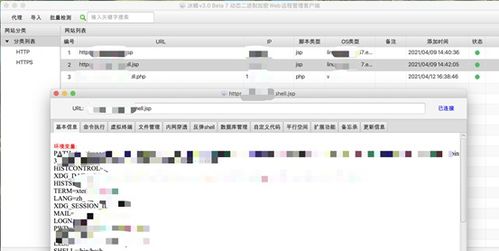 java测试:Java测试,从入门到实践,构建健壮的Java应用程序