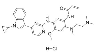 凯美纳是第几代靶向药:凯美纳靶向药,第一代EGFR-TKI的先驱者