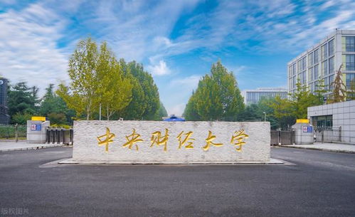 茯苓的作用:茯苓,传统智慧中的健康守护者