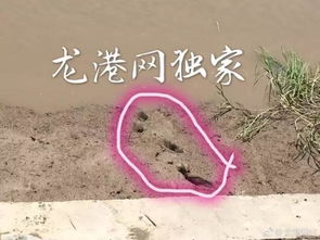 男人梦到死人了有什么兆头:梦到已故亲人,是预示好运还是灾祸?