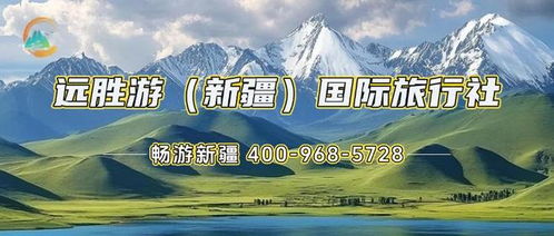 新疆旅游(新疆旅游团报价8日游价格表)