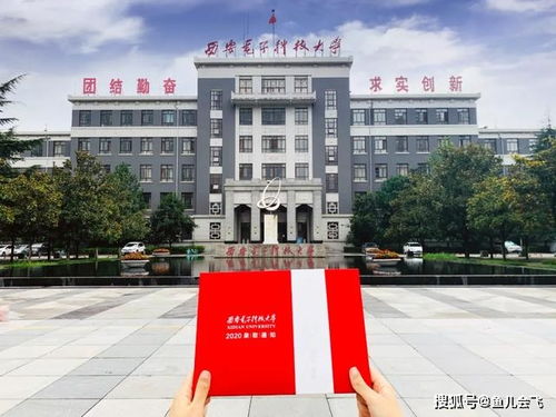 电子科技大学本科招生网(西安电子科技大学本科招生网)
