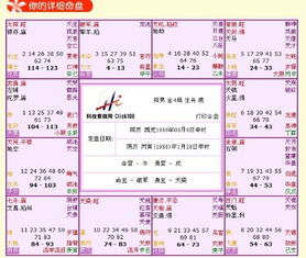 紫薇星盘详细解析免费:紫薇星盘详细解析免费,揭开你的命理密码,解读人生轨迹! 紫薇星盘详细解析免费:紫薇星盘详细解析免费,揭开你的命理密码,解读人生轨迹!