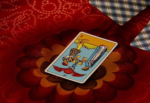 塔罗牌囚笼:塔罗牌囚笼,当神秘学成为心灵的牢笼