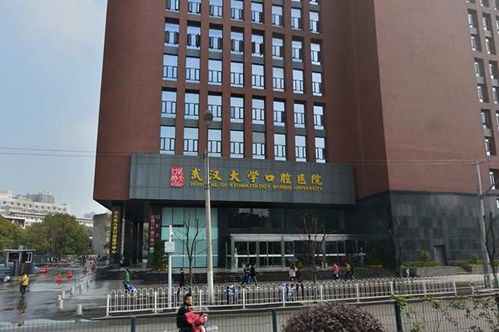 广州十大最佳口腔医院:广州口腔医院排名,2024最新版十大值得信赖的口腔医院全解析 广州十大最佳口腔医院:广州口腔医院排名,2024最新版十大值得信赖的口腔医院全解析