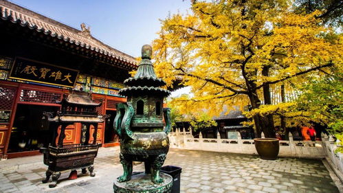 求姻缘的是哪个寺庙的:你属于哪一座姻缘寺?揭秘中国求姻缘的五大灵验寺庙 求姻缘的是哪个寺庙的:你属于哪一座姻缘寺?揭秘中国求姻缘的五大灵验寺庙