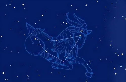 12星座运势2025射手:射手座2025,逐星而行,命运新篇章
