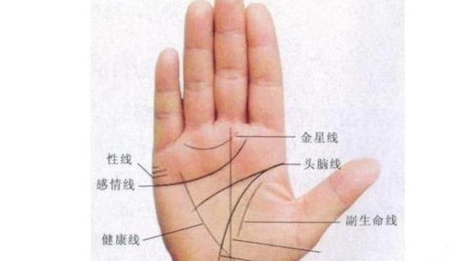 看手相姻缘书图片带字:手相秘籍,手纹背后隐藏的姻缘密码 看手相姻缘书图片带字:手相秘籍,手纹背后隐藏的姻缘密码