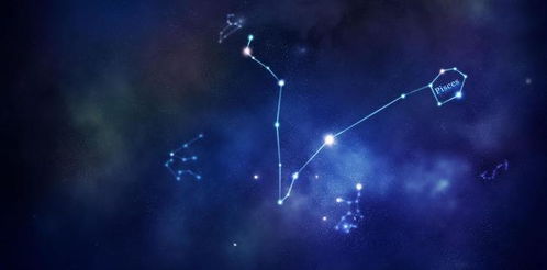 金牛座和什么星座最配做夫妻:金牛座的婚姻天菜,这五大星座与TA组队结婚,默契度堪比金木水火土全联动