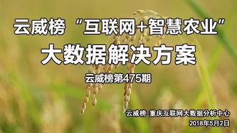 放生求好姻缘该怎么说:放生祈缘,传统智慧与现代情感的和解之道 放生求好姻缘该怎么说:放生祈缘,传统智慧与现代情感的和解之道