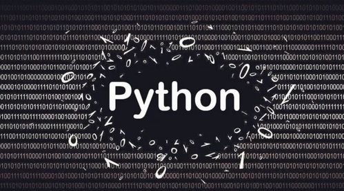 python编程入门代码:Python编程入门,从零开始的代码之旅