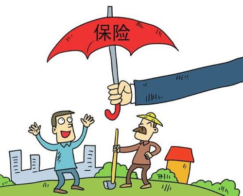 保险的保障期限与个人需求的匹配如何?