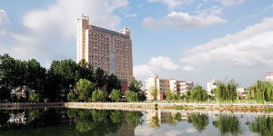 武汉大学国际学院是几本(武汉大学国际部怎么样)