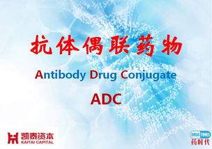 jq1:探索jq1,一个在医药与技术领域引发关注的关键词 jq1:探索jq1,一个在医药与技术领域引发关注的关键词