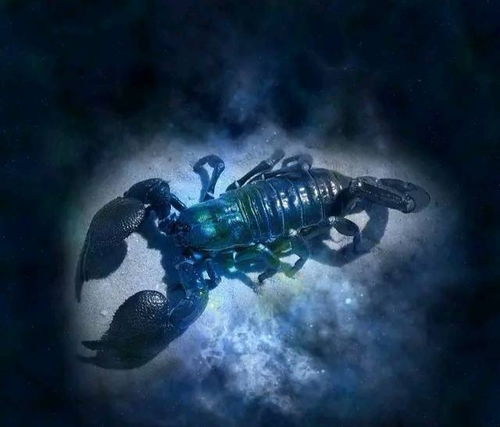 天蝎7月份运势2021年:天蝎座2021年7月运势,暗流涌动,情感与事业的双重考验 天蝎7月份运势2021年:天蝎座2021年7月运势,暗流涌动,情感与事业的双重考验