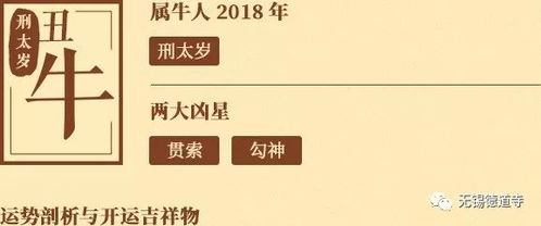 阿启免费2025运势:阿启2025免费运势指南,生肖星座全解析+开运秘籍,你的吉祥年如何把握?