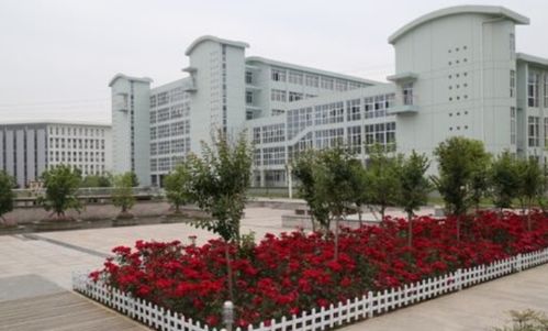 陕西最好的公办大专(陕西最好的公办大专和王牌专业) 陕西最好的公办大专(陕西最好的公办大专和王牌专业)