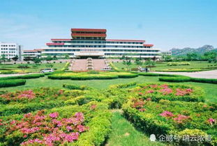 青岛大学是211还是985(青岛大学属于什么档次)