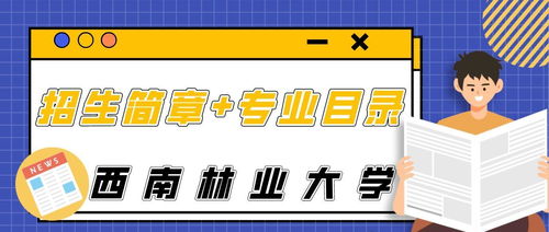 2023年招生简章（2022年招生简章）