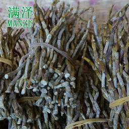 铁皮石斛图片:铁皮石斛图片,如何通过图片识别优质铁皮石斛?