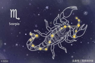 天蝎座下半年运势指南:天蝎座下半年运势指南,神秘力量与命运转折 天蝎座下半年运势指南:天蝎座下半年运势指南,神秘力量与命运转折