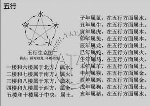 怎么算自己的五行属性:根据生辰八字计算五行属性,手把手教你精准测算个人命理平衡 怎么算自己的五行属性:根据生辰八字计算五行属性,手把手教你精准测算个人命理平衡