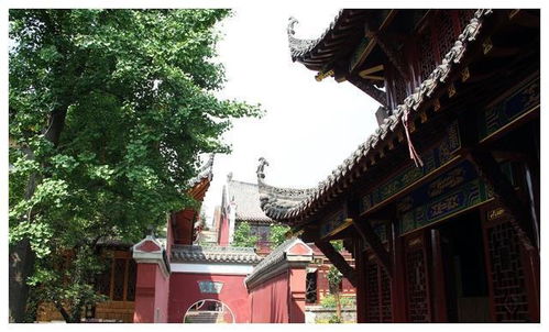 上海求姻缘的道观叫什么:上海姻缘道观全解析,寻找姻缘的正确道观与求缘指南 上海求姻缘的道观叫什么:上海姻缘道观全解析,寻找姻缘的正确道观与求缘指南