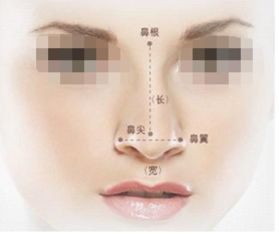 鼻子整形一般费用多少:鼻子整形一般费用多少? 鼻子整形一般费用多少:鼻子整形一般费用多少?