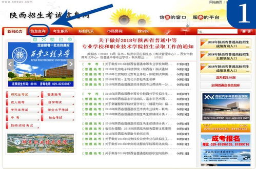 陕西招生信息网(陕西考试招生网) 陕西招生信息网(陕西考试招生网)