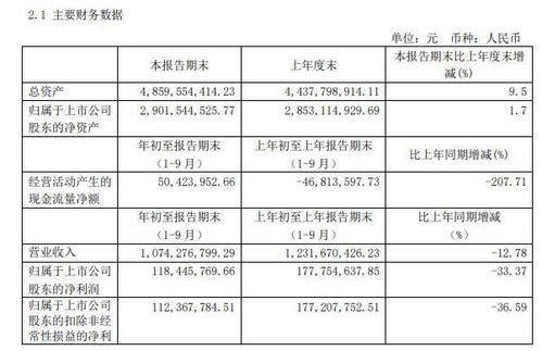 大华股份:2025年10月25日投资者关系活动记录表 大华股份:2025年10月25日投资者关系活动记录表