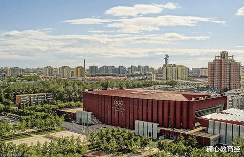 千万别来北京科技大学(北京科技大学厉不厉害)