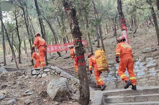 成都一景区古柳突倾倒 两游客被砸伤 成都一景区古柳突倾倒 两游客被砸伤