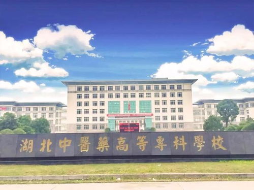 贵州3+2大专有哪些学校(贵州3+2大专有哪些学校和专业)