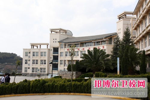 山东旅游职业学院(山东旅游职业学院录取线2025) 山东旅游职业学院(山东旅游职业学院录取线2025)
