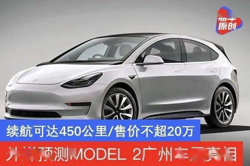 特斯拉Q3电话会大预告:2026年会是特斯拉的大年