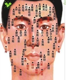 脸上哪些痣不能点图片:警惕!脸上这5类痣不能随意点除,可能危及生命(附图解特征) 脸上哪些痣不能点图片:警惕!脸上这5类痣不能随意点除,可能危及生命(附图解特征)