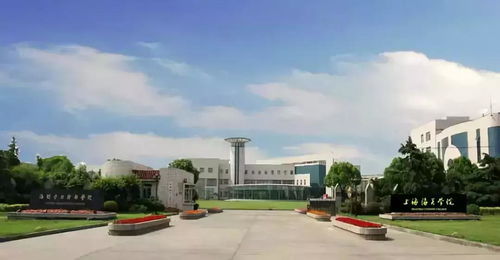 上海海关学院(上海海关学院专业)