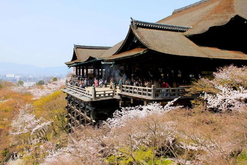 石经寺求姻缘哪个菩萨:石经寺求姻缘,该拜哪位菩萨?传统文化中的姻缘信仰与求签指南 石经寺求姻缘哪个菩萨:石经寺求姻缘,该拜哪位菩萨?传统文化中的姻缘信仰与求签指南