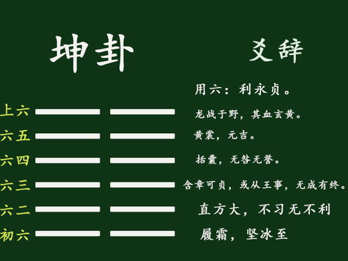 周易六十四卦详细批解:周易六十四卦精要,从象数体系到生命哲学的终极解码