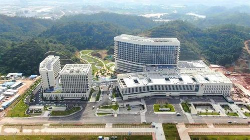 广东省人民医院官网:广东省人民医院官网,权威医疗信息与便捷服务的健康导航 广东省人民医院官网:广东省人民医院官网,权威医疗信息与便捷服务的健康导航