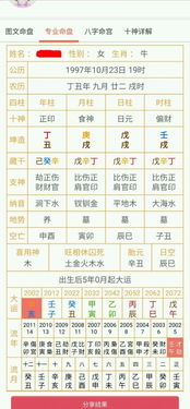 1999年生辰八字对照表:1999年生辰八字对照表,精准排盘与运势解析指南