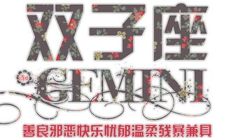 双子星座今日运势:双子今日运势|思维如风,机遇与挑战并存!