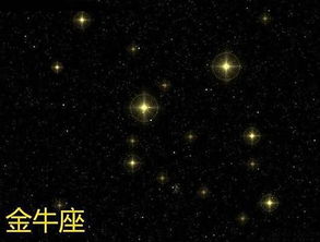苏珊米勒星座运程:苏珊·米勒星座运势,解读命运的星轨