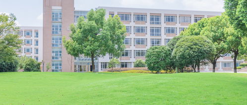 公办二本大学最低分(公办二本大学最低分广东) 公办二本大学最低分(公办二本大学最低分广东)