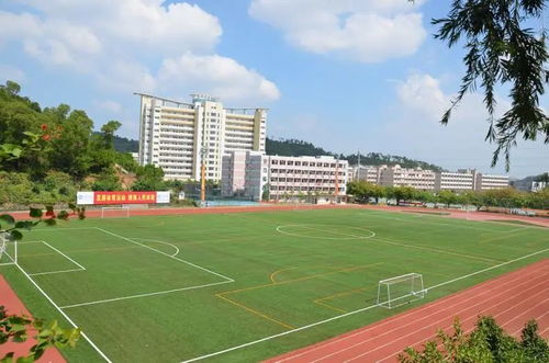 阳江职业技术学院(阳江职业技术学院官网) 阳江职业技术学院(阳江职业技术学院官网)