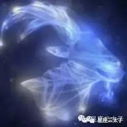 12月18日是什么星座女:12月18日射手座的她,自由灵魂与温暖内核的完美融合 12月18日是什么星座女:12月18日射手座的她,自由灵魂与温暖内核的完美融合