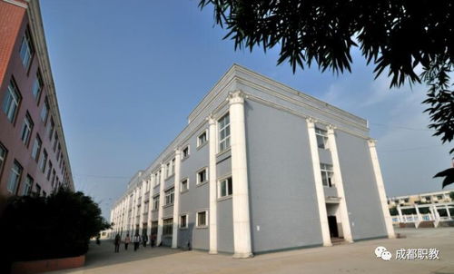 职高专业就业前景排名(职高学校!热门专业!) 职高专业就业前景排名(职高学校!热门专业!)