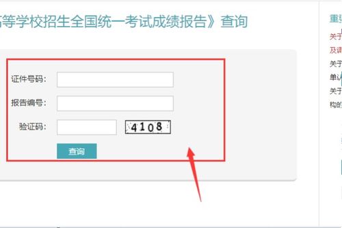往届高考查询成绩入口(往届高考查询成绩入口云南) 往届高考查询成绩入口(往届高考查询成绩入口云南)