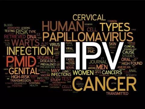 hpv会传染给家人吗:HPV感染家人?这些真相你必须知道